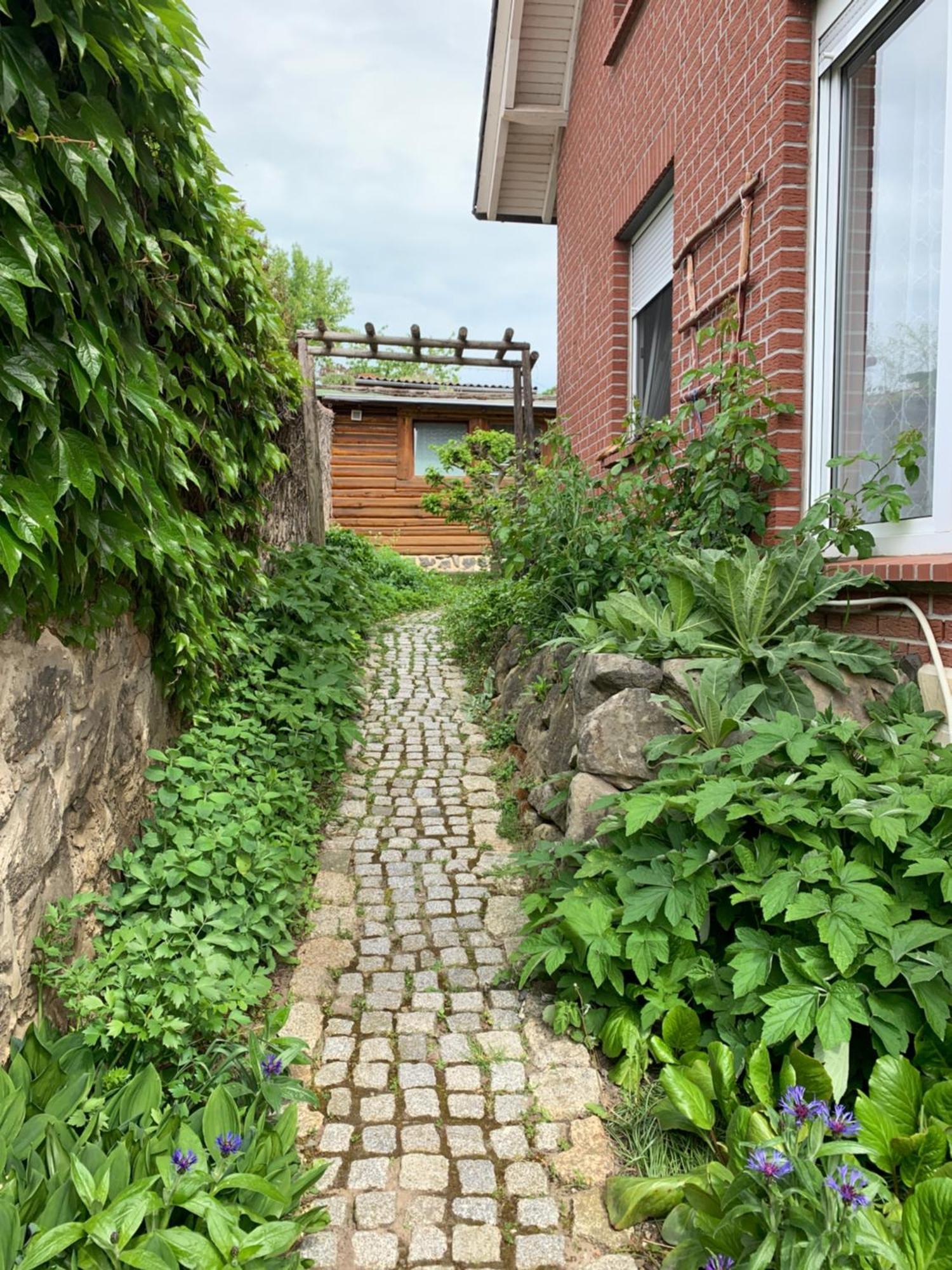 Ferienwohnung Poelkentor クヴェードリンブルク エクステリア 写真
